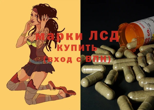 дживик Володарск
