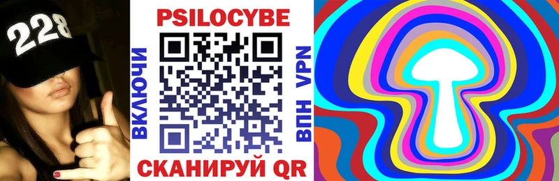 где найти   Комсомольск-на-Амуре  Псилоцибиновые грибы Cubensis 